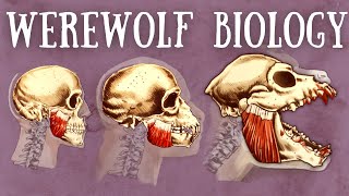 Werewolf Biology Explained  The Science of Lycanthropy [upl. by Ggerc784]