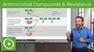 Antimicrobial Compounds amp Resistance – Microbiology  Lecturio [upl. by Raseda]