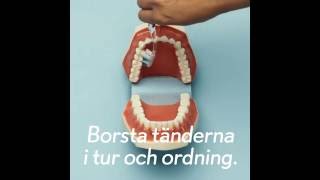 Hur borstar man tänderna rätt [upl. by Capwell]