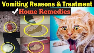 Cat vomiting colour and causes Cat vomiting treatment Different type of cat vomitingDrhira saeed [upl. by Nerro]