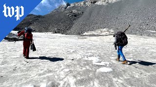 Antarticas biggest glacier to collapse [upl. by Ahsemik]