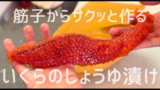 【保存版】誰でも簡単に楽しく筋子からいくらの醤油漬けを作る方法！【ほぐし方いくら丼秋鮭】 [upl. by Tnairb]