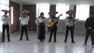 mariachis Cancion para 15 años mi niña bonita [upl. by Erdnael]