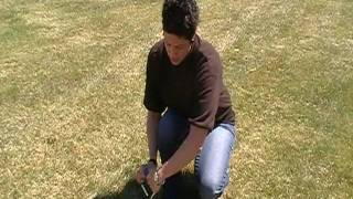 Petmate HowTo Installing an Easy Turn Stake [upl. by Ashly]