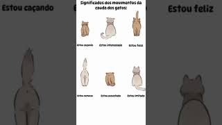 A LINGUAGEM DOS GATOS  shorts [upl. by Aokek]