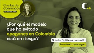 ¿Por qué el modelo que ha evitado apagones en Colombia está en riesgo [upl. by Eidarb]