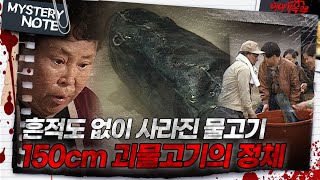 미스터리 노트 흔적도 없이 사라진 물고기 150cm 괴물고기의 정체｜미스터리노트 MBC980417방송 [upl. by Zebapda937]