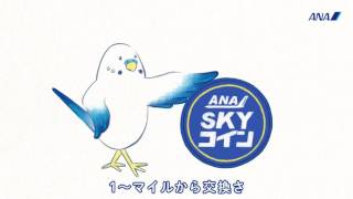 こんどの旅に、すぐ使える。ANA SKY コイン [upl. by Nallij877]