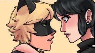 Unsee Marichat Scene FULL  Miraculous Ladybug Comic Dub [upl. by Charbonneau210]