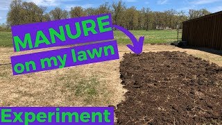 MANURE on lawn  spring experiment 2019 [upl. by Frederik152]