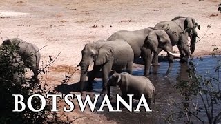 Botswana Highlights in Afrika  Reisebericht [upl. by Odnuges]