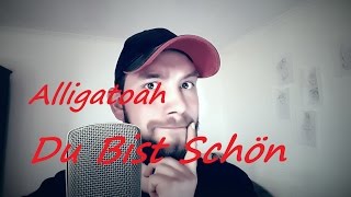 Alligatoah  Du bist schön Official Video Cover [upl. by Ahsinrac]