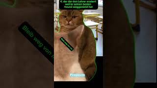 Arten von SchülernMusikunterrricht catmemes cat fypシ゚funny cats catshorts science school [upl. by Soirtimid239]