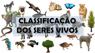 CLASSIFICAÇÃO DOS SERES VIVOS [upl. by Larret188]