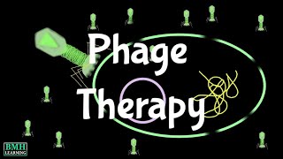 Phage Therapy  Viral Phage Therapy  Bacteriophage Therapy  Phagotherapy [upl. by Iret]