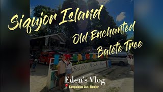 Old Enchanted Balete Tree  SIQUIJOR ISLAND [upl. by Jermyn]