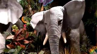 Rainforest Cafe Themed Restaurant Menlo Park Mall 4K Video September 21 2019 Sights and Sounds [upl. by Jonny]