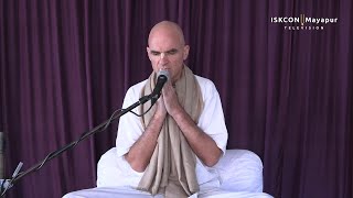 Srimad Bhagavatam Text  3111516 Speaker  HG Navina Nirada Das [upl. by Yttiy]