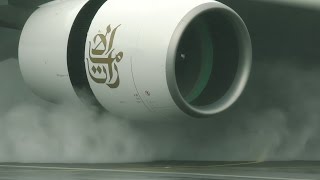 Reverse thrust  up close and personal [upl. by Sedaiuqlem]