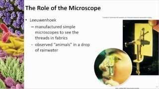 Chapter 01 Introduction to Microbes and Their Building Blocks  Cowan  Dr Mark Jolley [upl. by Ellerey68]