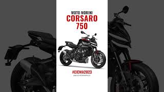 Moto Morini Corsaro 750 Makes Official Debut at EICMA2023 [upl. by Attem251]