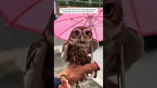 KindHearted Family Rescued A Baby Owl And Adopted It short animal loveanimalstl [upl. by Falzetta]