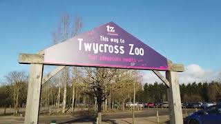 Twycross Zoo [upl. by Okir123]