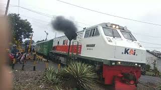 JADWAL KEBERANGKATAN KERETA Api DARI STASIUN JEMBER [upl. by Ninnahc]