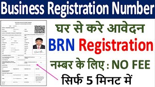 Business Registration Number Form Online Apply ¦ BRN No कैसे मिलेगा ¦ Rajasthan BRN Form Kaise Bhare [upl. by Dawn664]