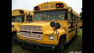 School Buses [upl. by Lippold]