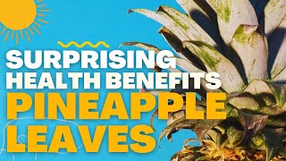 PINEAPPLE LEAVES SURPRISING HEALTH BENEFITS [upl. by Meirrak405]