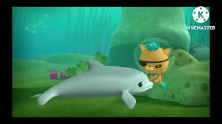 baby einstein worlds animals The Dolphin Reef Rescue [upl. by Nennarb]