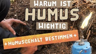 Humus im Gartenboden  Humusgehalt ermitteln [upl. by Enitnemelc]