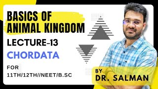 L13  Basics of Animal Kingdom CHORDATA  Dr Salman [upl. by Aicelav]