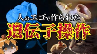 【魔改造】遺伝子操作によって生み出されたヤバい生き物4選 [upl. by Onabru]