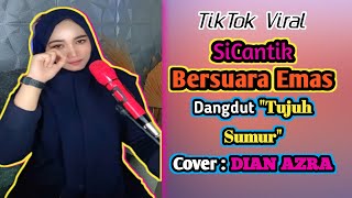 Dangdut Tujuh Sumur  Karaoke Dangdut Tujuh Sumur  Cover Dian Azra [upl. by Aramaj]