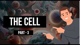 The CELL  part3  Mitochondria [upl. by Abas]