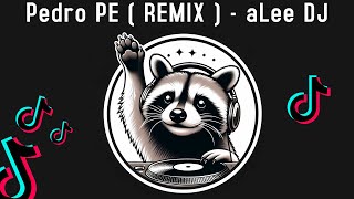 PEDRO PE REMIX [upl. by Eaves]