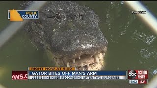 Man running from Lakeland police gets arm bitten off by gator [upl. by Naujak852]