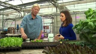 The Big Idea Hydroponic and Vertical Farming [upl. by Sneve]