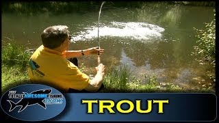 How to catch Trout on the Mayfly  Totally Awesome Fishing Show [upl. by Phi]