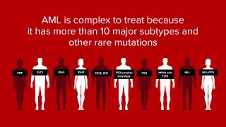 What Is AML [upl. by Kinney]