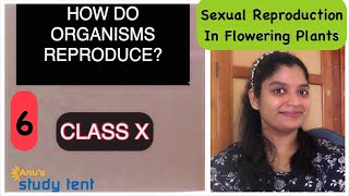 How Do Organisms ReproduceSexual ReproductionFlowering PlantsCBSE Class 10 Lecture in Malayalam [upl. by Lula509]