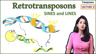 Retrotransposons II LINES SINES II Transposons Part 2 [upl. by Solis]