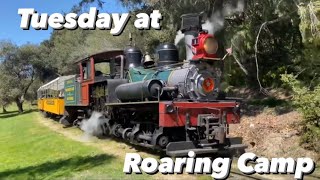 Tuesday At Roaring Camp Railroads Dixiana 1  HD [upl. by Rohn]