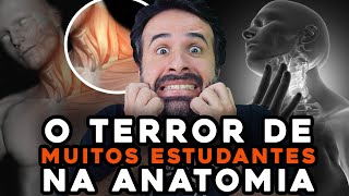 MÃšSCULOS DO PESCOÃ‡O O TERROR DE MUITOS ESTUDANTES NA ANATOMIA [upl. by Natsyrt]