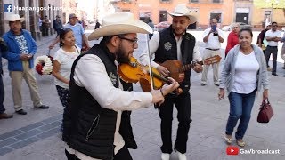 Tocando y Zapateando quotEl Caballitoquot con el Trío Gorrión Huasteco [upl. by Darell]