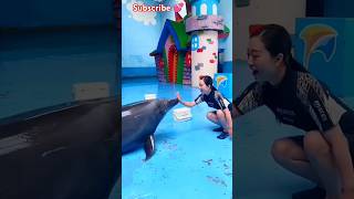 Dolphin lover 💝 💞🤗ll 💙 WhatsApp status video 📸 youtubeshorts shorts short shortvideo shortlive [upl. by Anomas925]