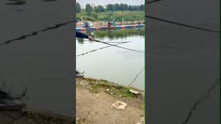 Kinh khủng quá câucá fishing cauca carpfishing câucágiảitrí fishinglife [upl. by Ole]