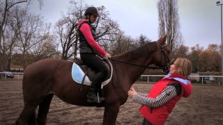 Dédramatiser le saut avec son cheval  Equidia Life [upl. by Norbel]